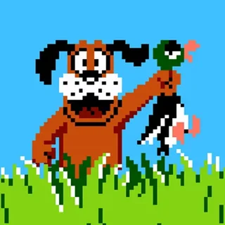 Duck Hunt Level Guide: What Each of the Six Levels Throws at You