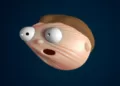 Elastic Face